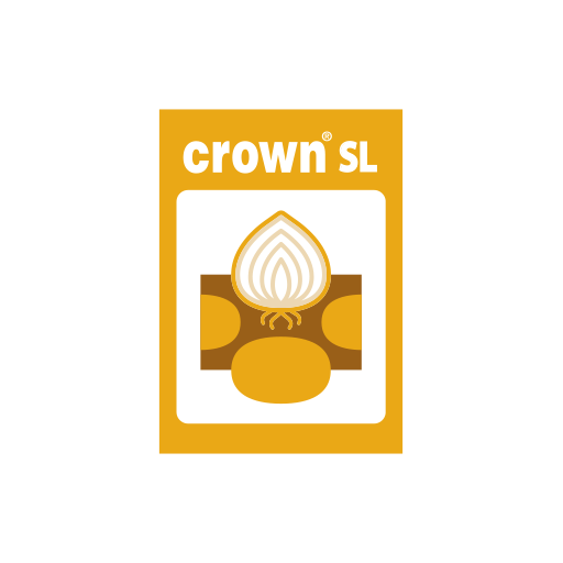 CROWN MH